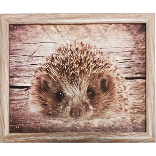 Kniekussen dienblad met lage rand Egel